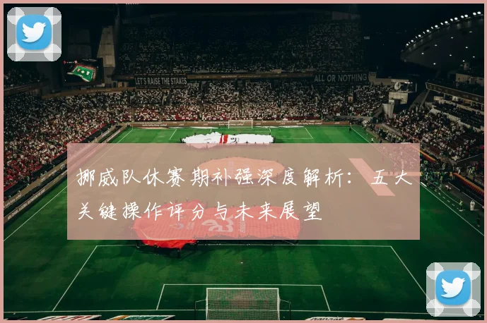 挪威队休赛期补强深度解析：五大关键操作评分与未来展望
